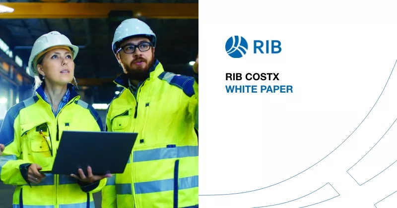 RIB CostX Whitepaper