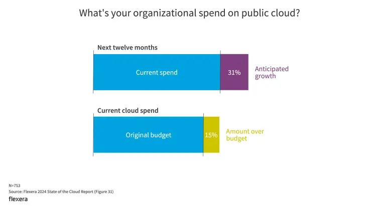 Organizational Spend On Public Cloud
