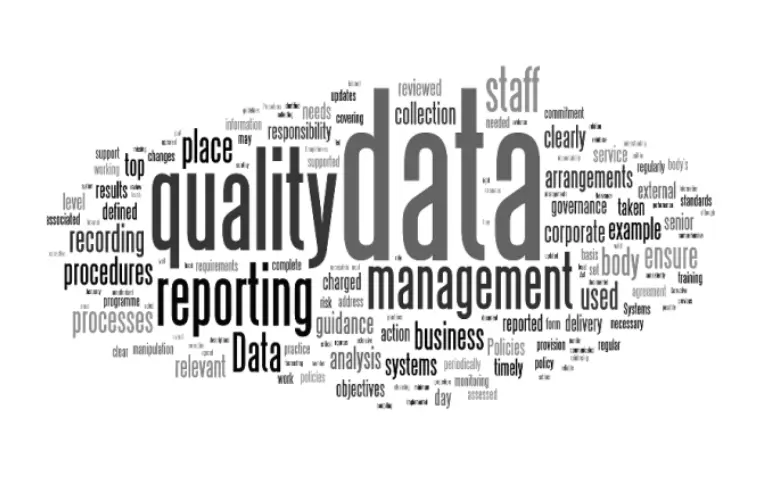 Data quality management blog post by RIB Software