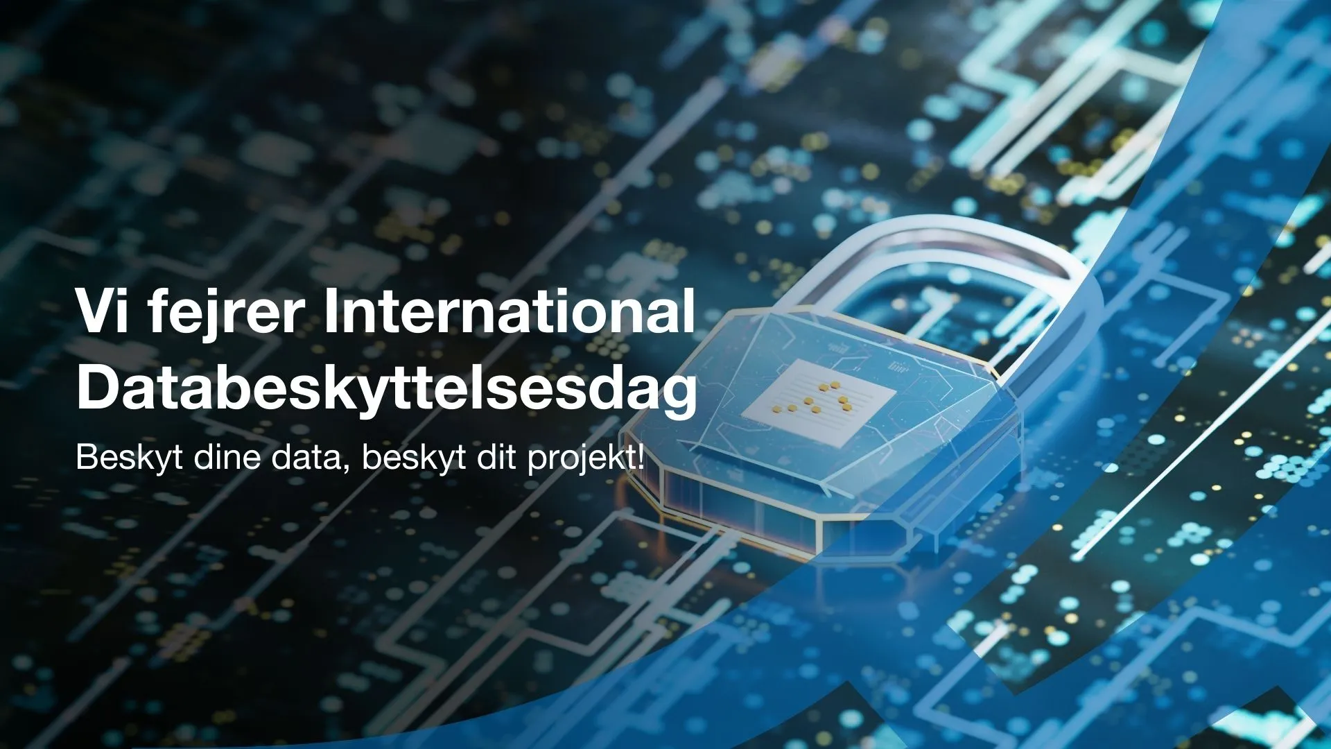Website Data Protection Day