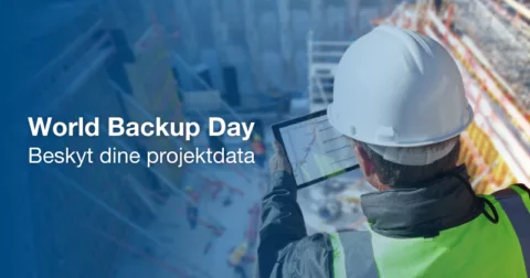 World Backup Day