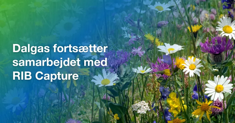 Dalgas fortsætter samarbejdet med RIB Capture til digital egenkontrol og kvalitetssikring